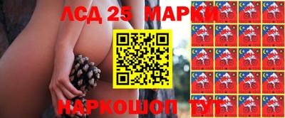 ешки Кимры