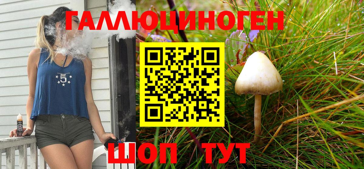 Псилоцибиновые грибы Magic Shrooms Кольчугино